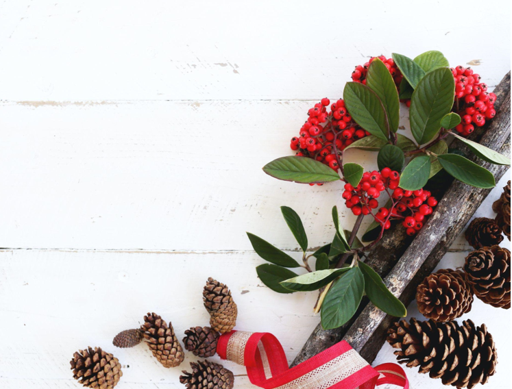 Elegant Glass Ornaments